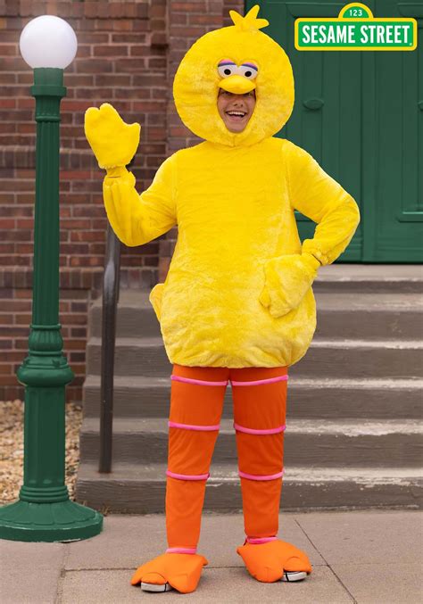 adult big bird costume|Amazon.ca: Big Bird Costume.